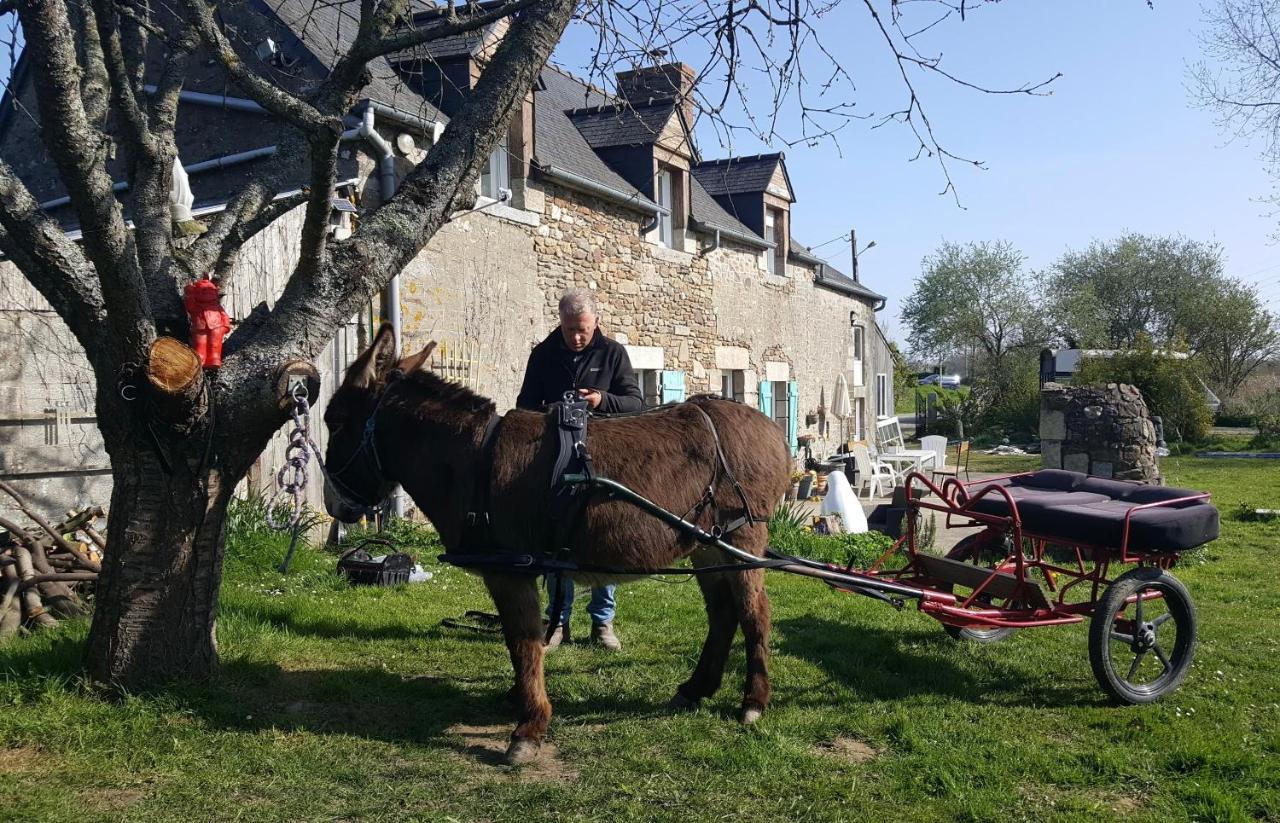 Gite Annarmor Mont St Michel Tremereuc Zewnętrze zdjęcie
